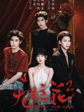 《无主之花2》完整版免费在线观看